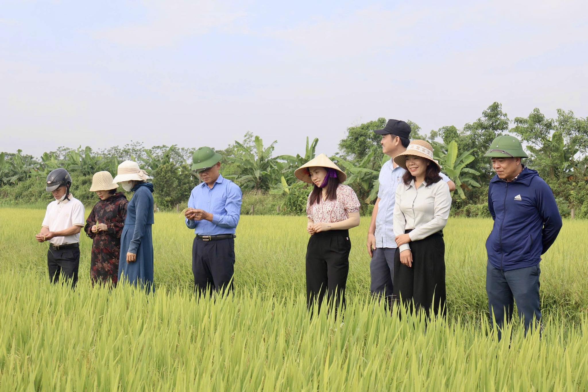 Xã Gia Hanh đánh giá kết quả vụ xuân và triển khai sản xuất hè thu 2026