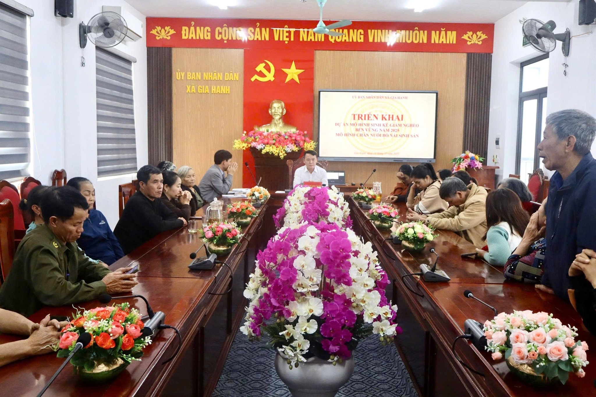 Triển khai dự án mô hình sinh kế chăn nuôi bò nái sinh sản