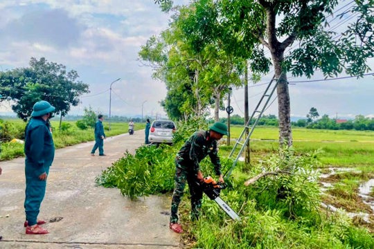 Gia Hanh ra quân cắt tỉa cây xanh, chủ động phòng chống thiên tai