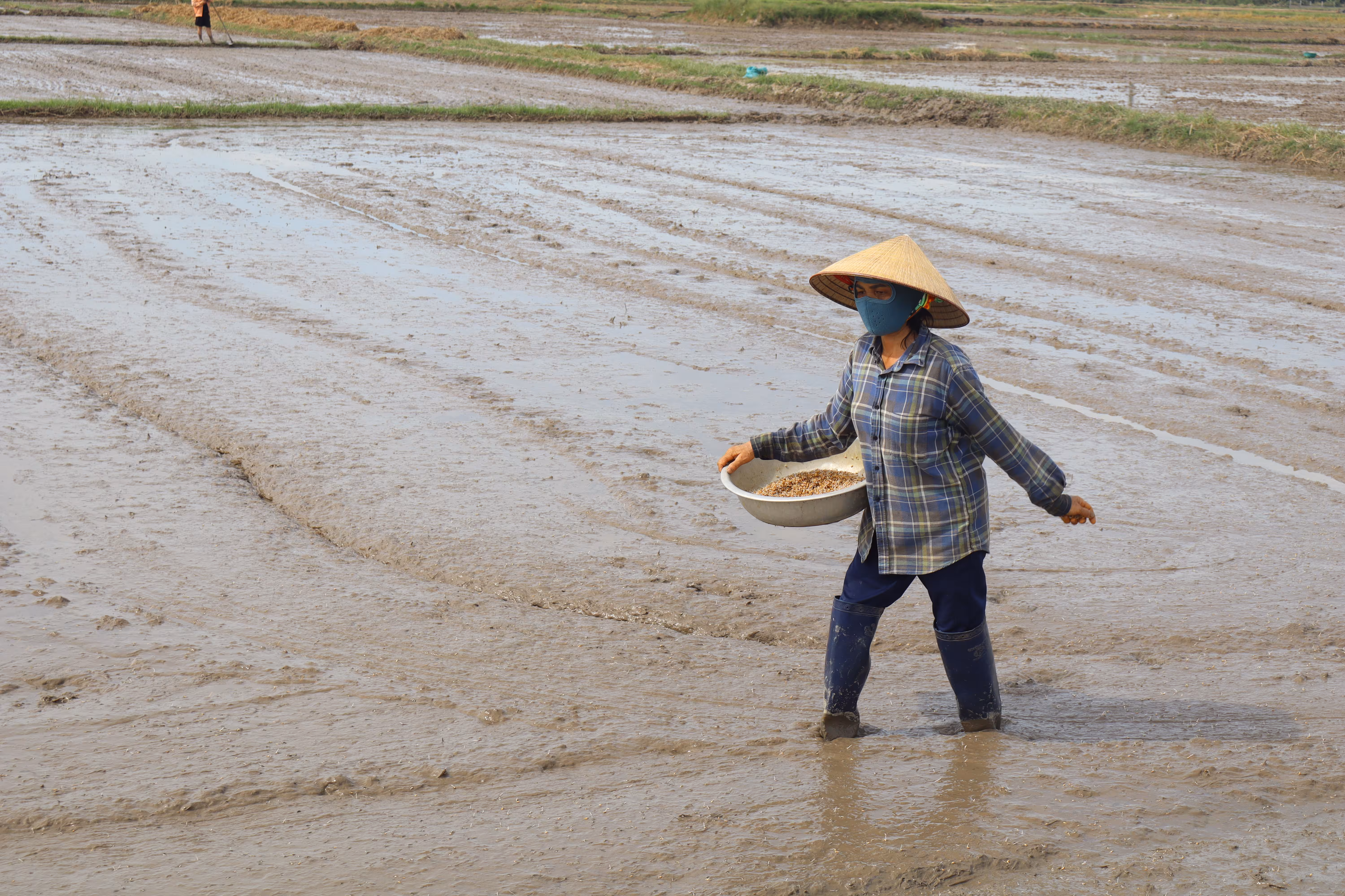 Nông dân Gia Hanh đẩy nhanh tiến độ sản xuất vụ Hè Thu 2026 